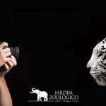 Jardim Zoológico apresenta novos Workshops