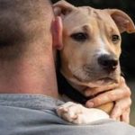 O Municipio do Seixal no Pet Festival 2023