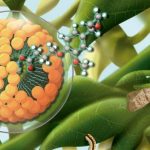 Univ. do Minho desenvolve inseticidas biológicos