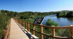 Festival Jovem "To Mora Land" em Agosto