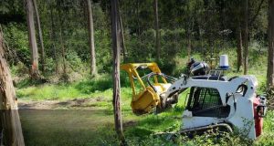 Projeto Safeforest na Universidade de Coimbra
