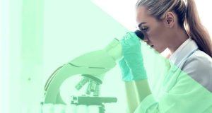 Candidaturas ao Prémio Inovação IN3+