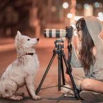 Palmela apoia Associações protetoras de animais