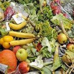 Os alimentos mais desperdiçados no Verão