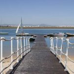 Faro assinala o Dia Internacional da Juventude