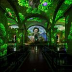 Últimos dias da exposição dedicada a Frida Kahlo