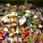 Portugueses desperdiçam mais comida no verão