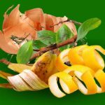 Campanha da LIPOR sobre Compostagem Caseira