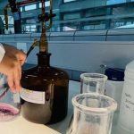 Conhecer processo de certificação dos vinhos Verdes