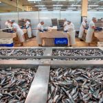 A Pinhais celebra o Dia Mundial dia da Sardinha