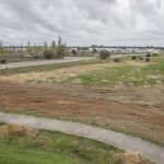 Plantação de 233 árvores no “Pinhal Novo Verde”