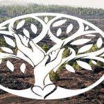 Reflorestação da Cumeada da Alta Mora