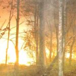 Portugal enfrenta Caso de Litigância Climática