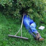 Guia que explica os benefícios de uma boa sesta