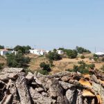 Aldeia de Parises, venceu European Leader Awards