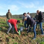 Município de Loulé plantou 40 mil Árvores em 2023