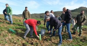 Município de Loulé plantou 40 mil Árvores em 2023