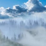 Iniciativas do ICNF do Dia Internacional das Florestas