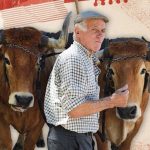 O Mercado Caramelo regressa ao Pinhal novo em Maio