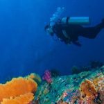 Procura de compostos anticancerígenos no fundo dos oceanos