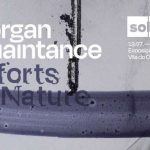 Exposição de Morgan Quaintance na Solar em Vila do Conde