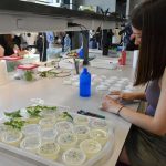 Novo laboratório de investigação na FC da Univ. de Lisboa