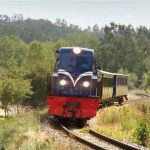 Edição de Verão do Comboio Histórico do Vouga