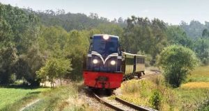 Edição de Verão do Comboio Histórico do Vouga