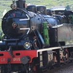 Viagem de comboio para a Festa das Vindimas do Douro