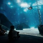 Oceanário de Lisboa tem novo programa para a família