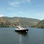 Pipadouro premiada nos Best of Wine Tourism 2025