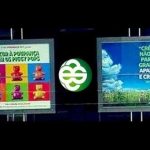 Lesados do BES, o Estado e o Papel do Banco de Portugal