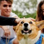 Cuidar dos Animais é Proteger a Nossa Saúde