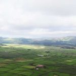 Projeto BI4ALL transforma a biodiversidade açoriana em arte