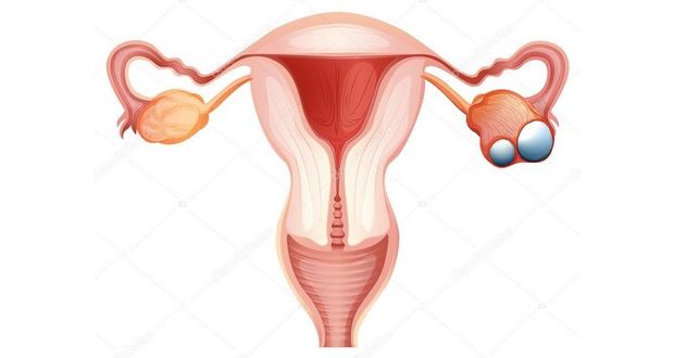 Cancro do ovário: o cancro silencioso que precisa de voz