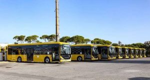 O crescimento da Carris Metropolitana em Palmela