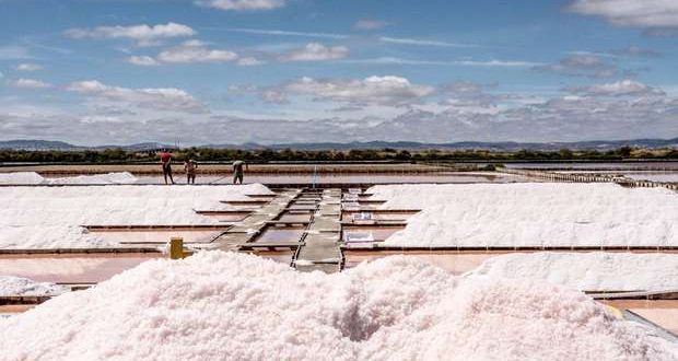 Locais de visita obrigatória no Estuário do Tejo