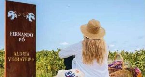 Enoturismo na Aldeia Vinhateira de Fernando Pó