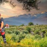 O Governo prolonga o prazo para limpeza de matos