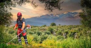 O Governo prolonga o prazo para limpeza de matos