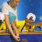 Campos de Férias do Zoomarine arrancam hoje