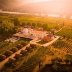 Wine House Hotel da Quinta da Pacheca a somar prémios