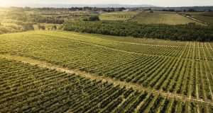 Vinhos do Dão no Brasil: encontro da CVR Dão com retalhistas brasileiros em Viseu