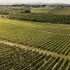 Vinhos do Dão no Brasil: encontro da CVR Dão com retalhistas brasileiros em Viseu